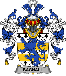 Irish Family Coat of Arms (v.25b) Bagnall