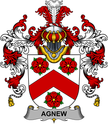 Irish Family Coat of Arms (v.25b) Agnew
