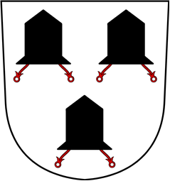 Swiss Coat of Arms for Magelshofen