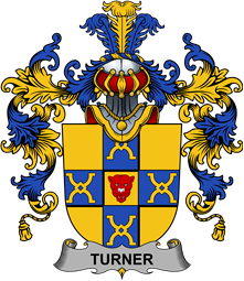 Irish Family Coat of Arms (v.25b) Turner