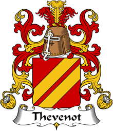 Coat of Arms from France for Thevenot