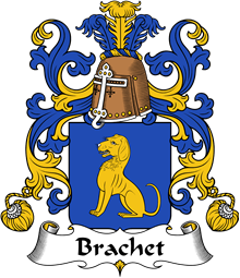 Coat of Arms from France for Brachet