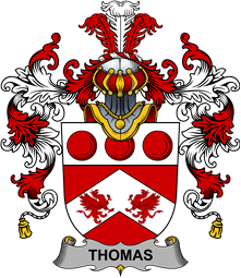 Irish Family Coat of Arms (v.25b) Thomas