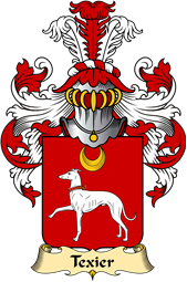 French Family Coat of Arms (v.23) for Texier