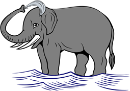 Elephant Bathing in River