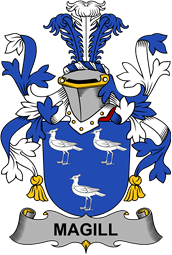 Irish Coat of Arms for Magill