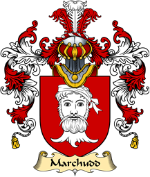 Welsh Family Coat of Arms (v.25) Marchudd (AP CYNAN)