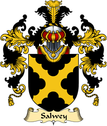 English Family Coat of Arms (v.25) Salwey