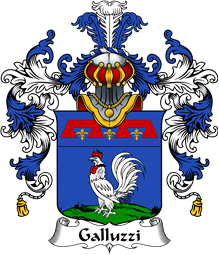 Italian Family Coat of Arms (v.25b) Galluzzi