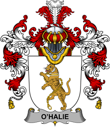 Irish Family Coat of Arms (v.25b) Halie or O