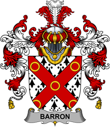 Irish Family Coat of Arms (v.25b) Barron