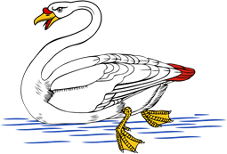 Swan in Loch