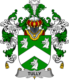 Irish Family Coat of Arms (v.25b) Tuly or McAtilla