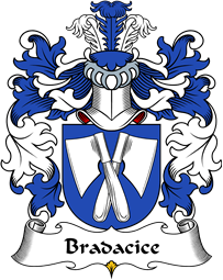 Polish Coat of Arms for Bradacice or Bradczyce