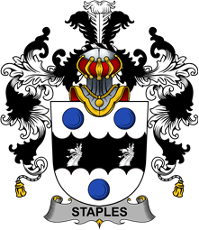 Irish Family Coat of Arms (v.25b) Staples