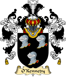 Irish Family Coat of Arms (v.25a) O