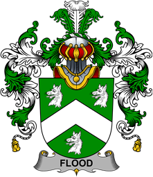 Irish Family Coat of Arms (v.25b) Flood