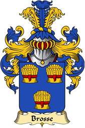 French Family Coat of Arms (v.23) for Brosse