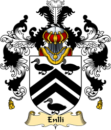 Welsh Family Coat of Arms (v.25) Enlli (of Lleyn)