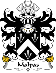 Welsh Coat of Arms for Malpas (Sir David, Descended from Owain)
