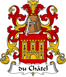 Coat of Arms from France for Châtel (du)