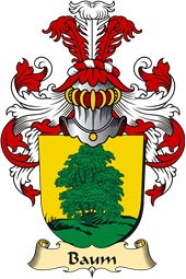 v.23 Coat of Family Arms from Germany for Baum