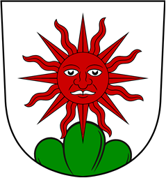 Swiss Coat of Arms for Sonnenberg