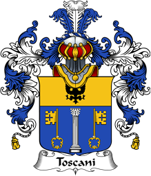 Italian Family Coat of Arms (v.25b) Toscani