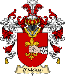 Irish Family Coat of Arms (v.25a) O