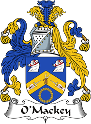 Irish Coat of Arms for O