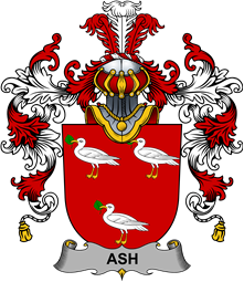 Irish Family Coat of Arms (v.25b) Ash