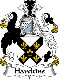 Irish Coat of Arms for Hawkins or Haughan