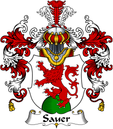 German Wappen Coat of Arms (v.25) Sauer