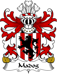 Welsh Coat of Arms for Madog (FYCHAN)