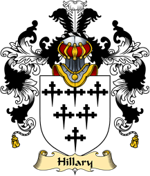 English Family Coat of Arms (v.25) Hillary