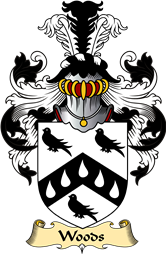 English Coat of Arms (v.23) for the family Woods