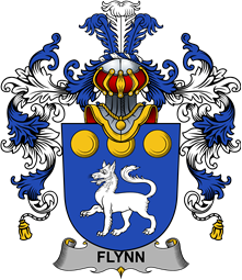 Irish Family Coat of Arms (v.25b) Flynn or O