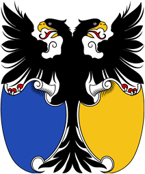 Shield Template IX