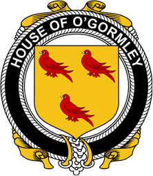 Irish Coat of Arms Badge for the O