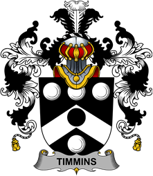Irish Family Coat of Arms (v.25b) Timmins