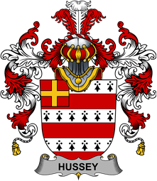 Irish Family Coat of Arms (v.25b) Hussey or O