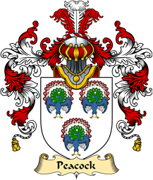 Scottish Family Coat of Arms (v.25) Peacock