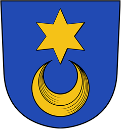 Swiss Coat of Arms for Stad(im)