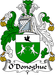 Irish Coat of Arms for O