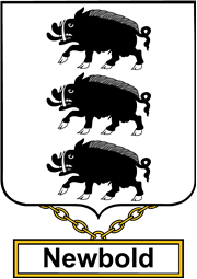 English Coat of Arms Shield Badge for Newbold