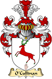 Irish Family Coat of Arms (v.23) for O