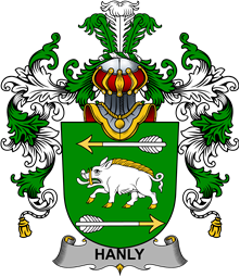 Irish Family Coat of Arms (v.25b) Hanly or O