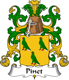 Coat of Arms from France for Pinet