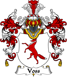 German Wappen Coat of Arms (v.25) Voss