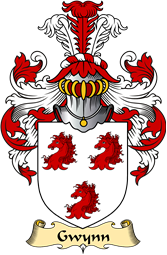 Irish Family Coat of Arms (v.23) for Gwynn